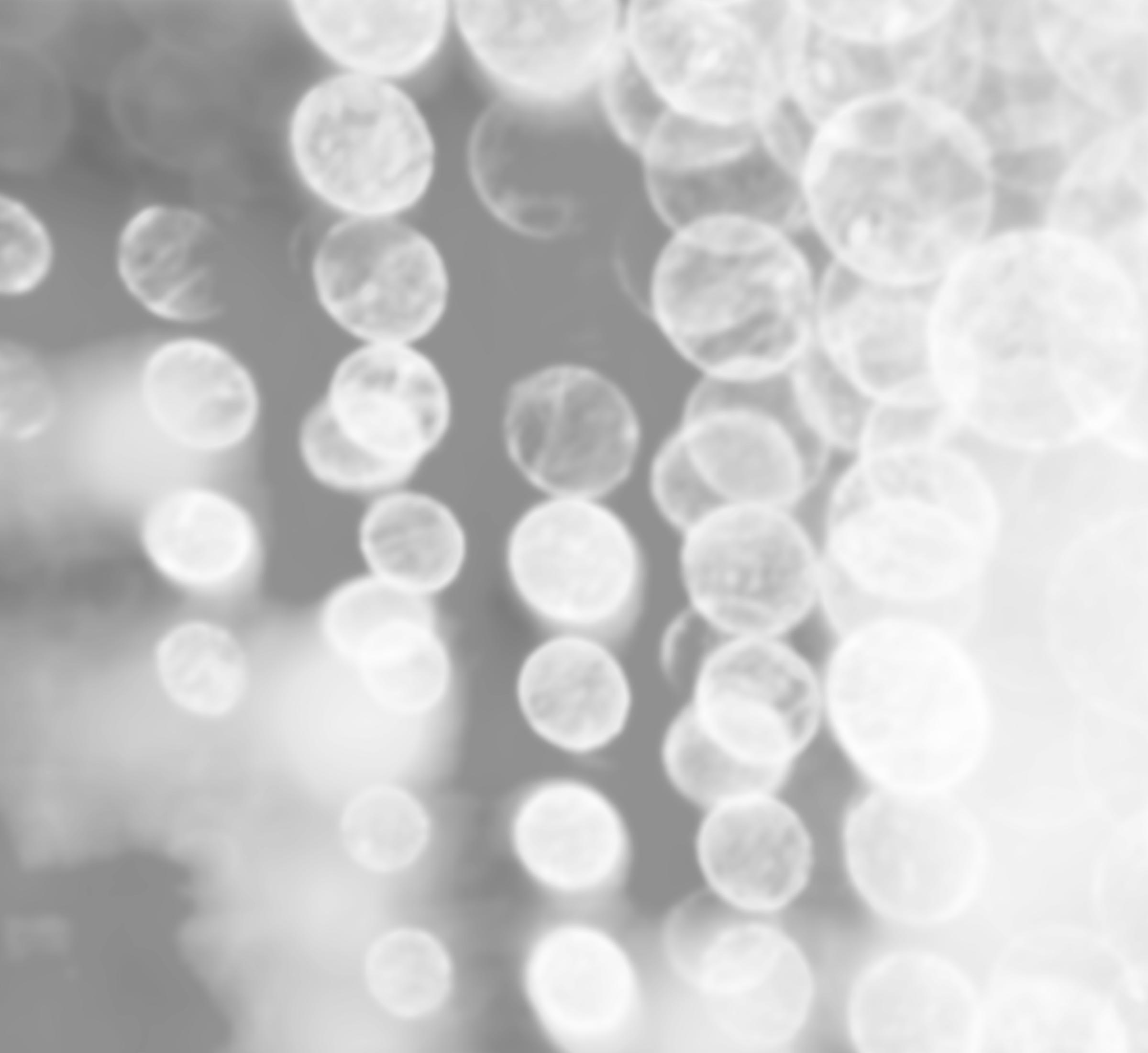 ONLINE CHECKING ACCOUNT visual data 7